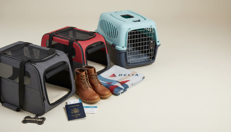 Delta Under-Seat Pet Carrier Sizes (Soft vs Hard)